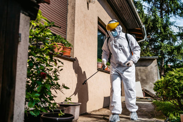 Best Best Pest Control Companies  in Coburg, OR