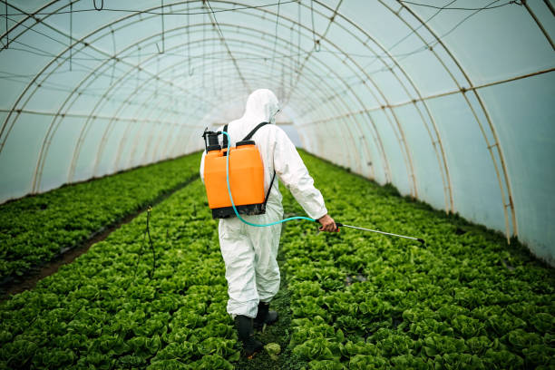 Best Pest Removal Services  in Coburg, OR