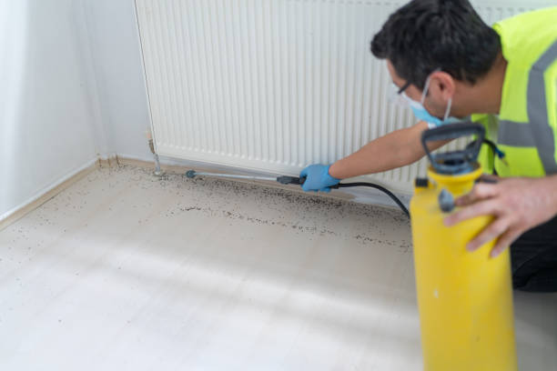 Best Exterminator Services  in Coburg, OR