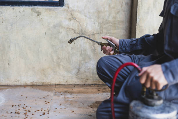 Best Pest Prevention Services  in Coburg, OR